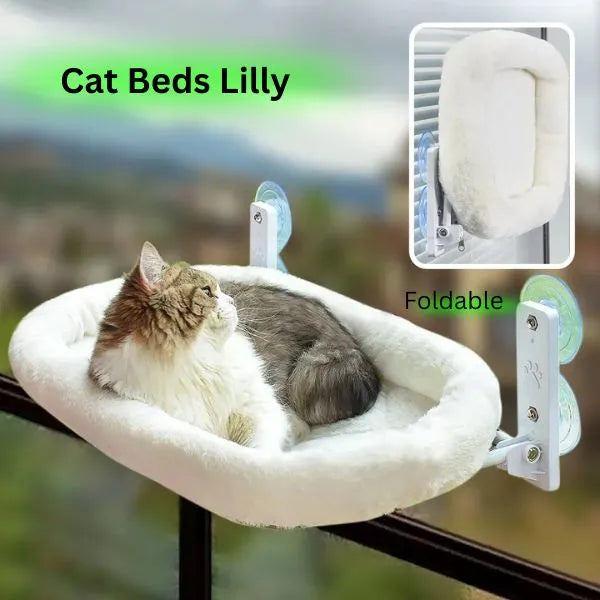 CAT BEDS FOR WINDOW