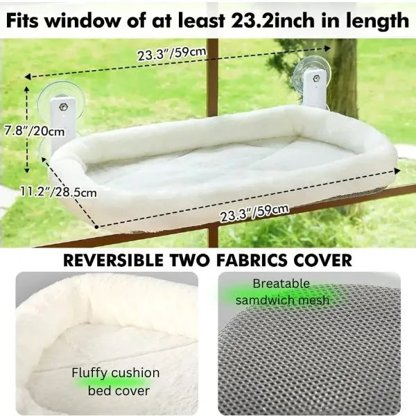 CAT BEDS 01