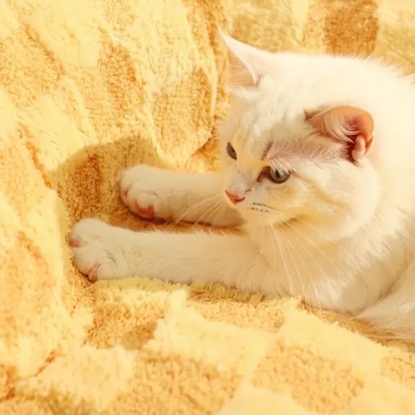Cat Beds Luna