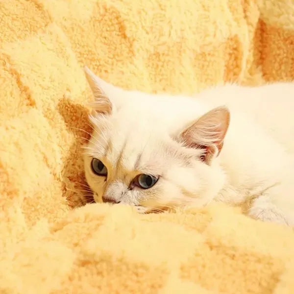 Cat Beds Luna