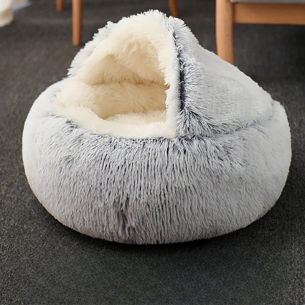 CAT IGLOO 1