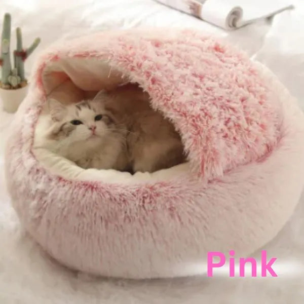 CAT-BEDS