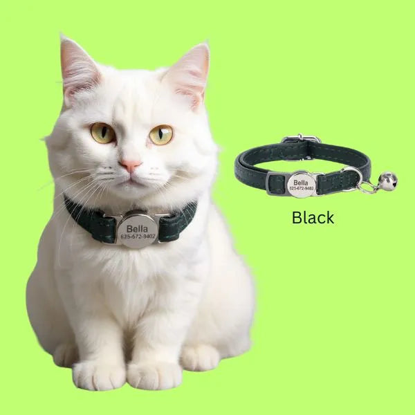 Collares para gatos Bella