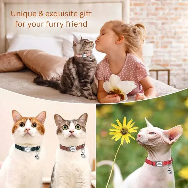 Collares para gatos Bella