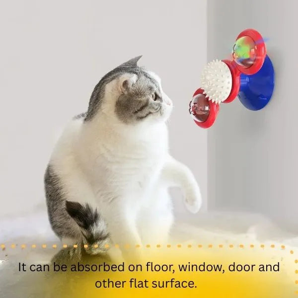 Cat toys interactive Willy