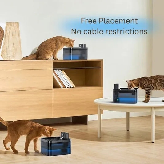 CATS DRINKING FOUNTAIN