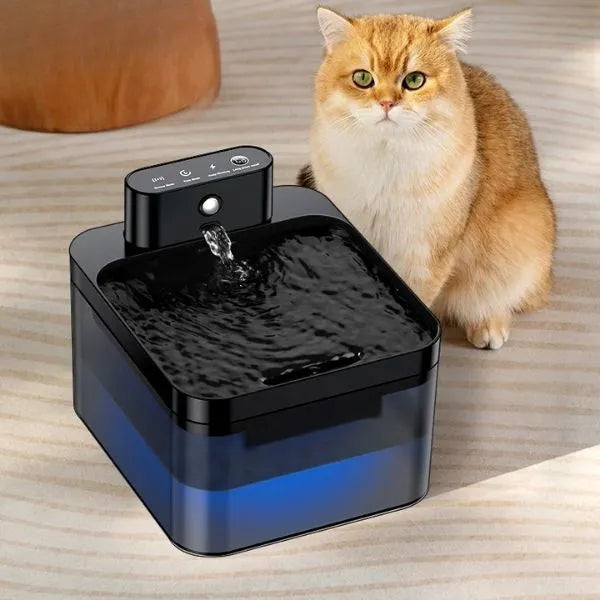 DRINKING FOUNTAIN