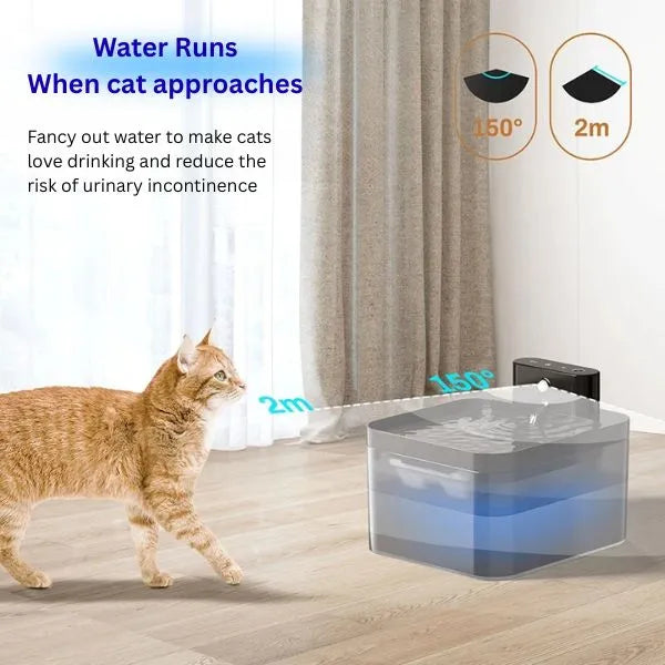PET DRINKING FOUNTAIN 02