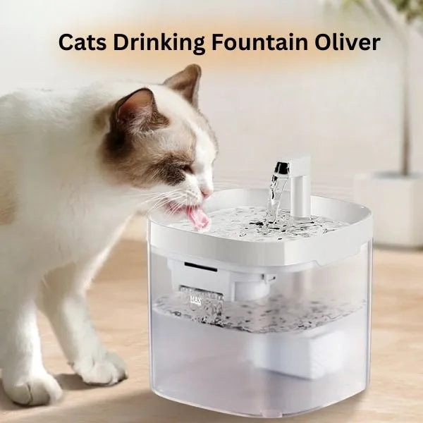 PETS DRINKING FOUNTAIN