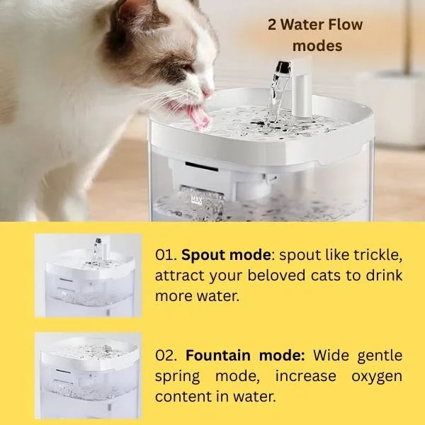 CATS DRINKING FOUNTAIN OLIVER