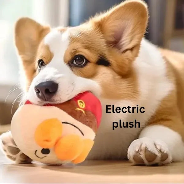 INTERACTIVE DOG BALL