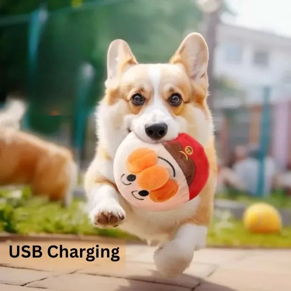 INTERACTIVE DOG BALL 2
