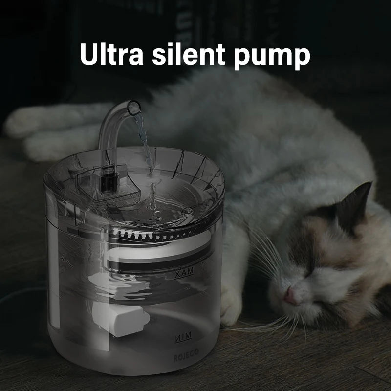 Cats Drinking Fountain Lucy