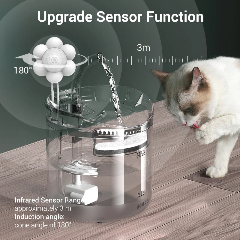 Cats Drinking Fountain Lucy