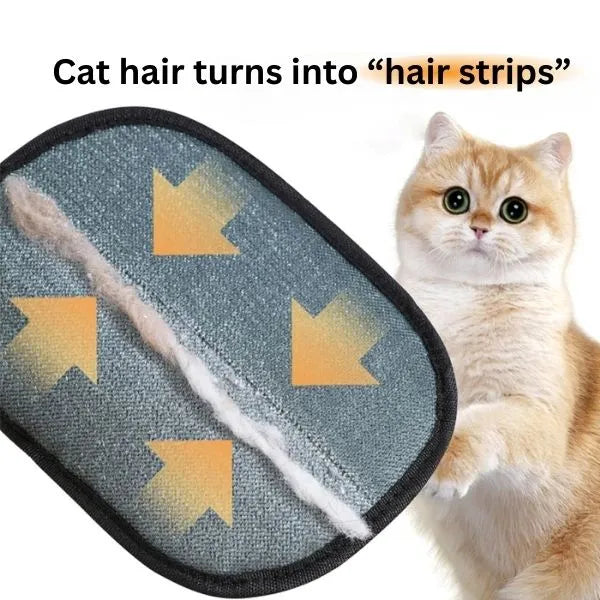 CAT HAIR REMOVER 02