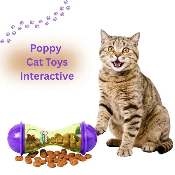 CAT TOYS