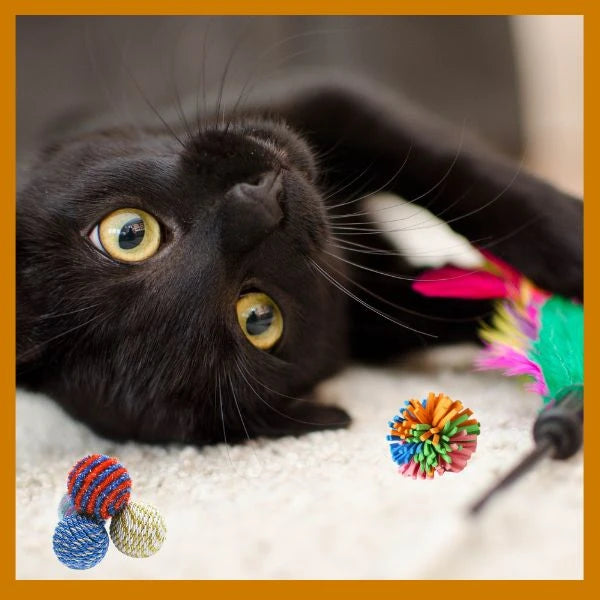 Cat toys