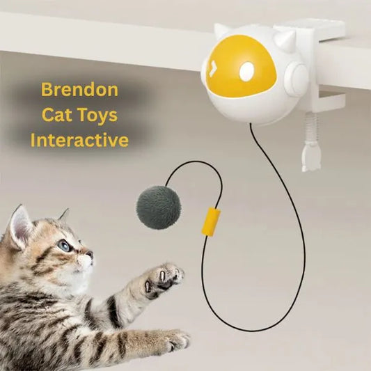 CAT TOYS