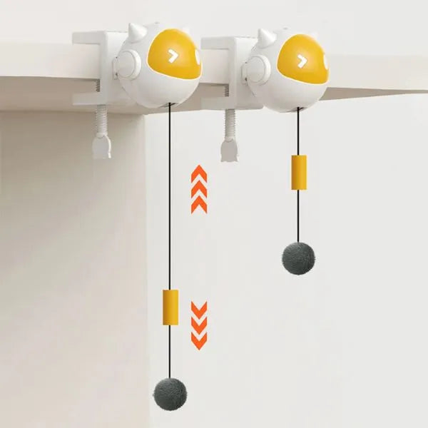 CAT TOYS 01