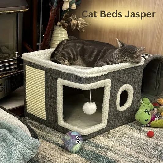 CAT BEDS