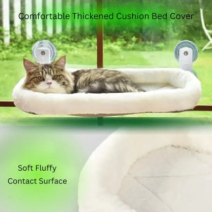 CAT BEDS