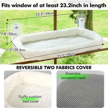 CAT BEDS 01