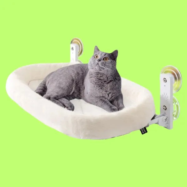 CAT BEDS 02