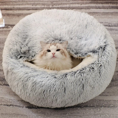 CAT IGLOO