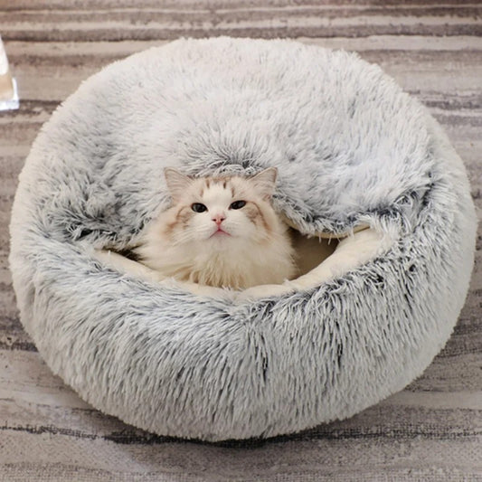 CAT IGLOO
