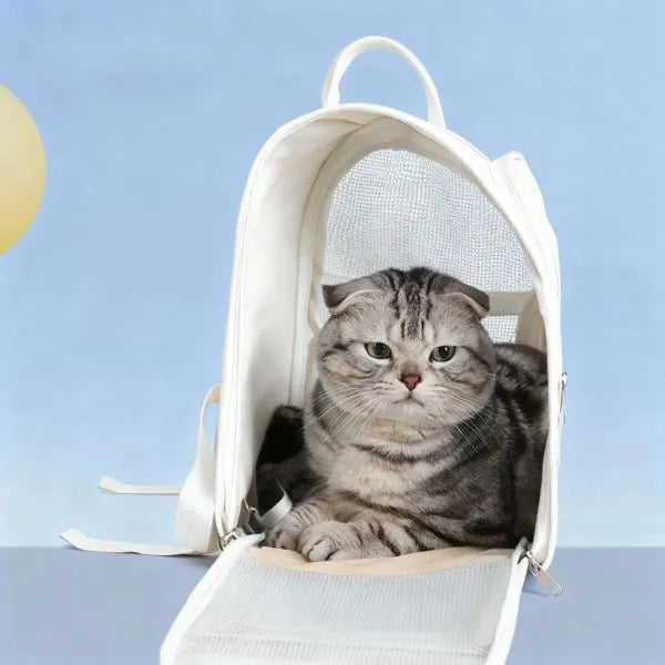 CAT CARRIER 03