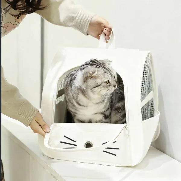 CAT CARRIER 04