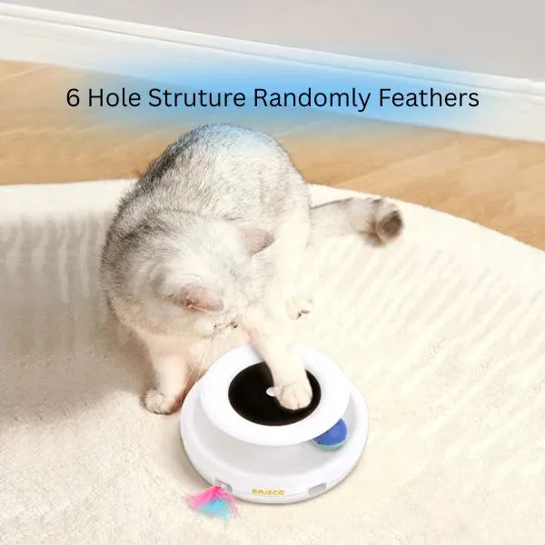 CAT TOYS