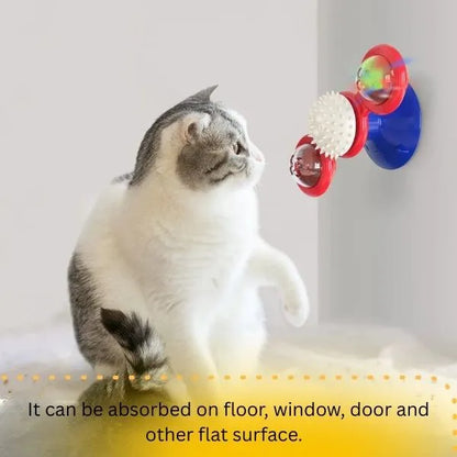 Cat toys interactive Willy