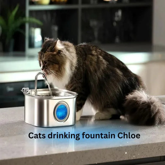 PET DRINKING FOUNTAIN