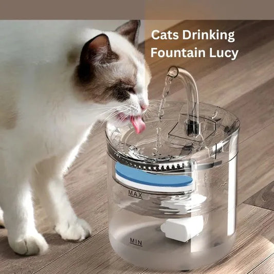 CATS DRINKING FOUNTAIN