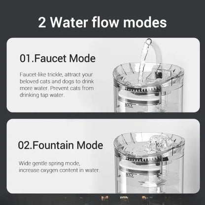 PETS DRINKING FOUNTAIN 01