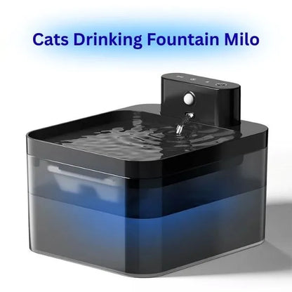 PET DRINKING FOUNTAIN