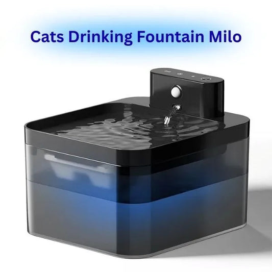 PET DRINKING FOUNTAIN