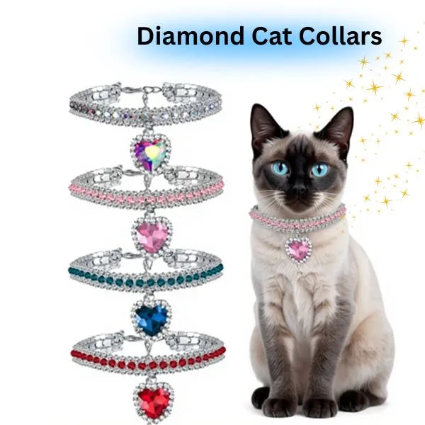 CAT COLLARS