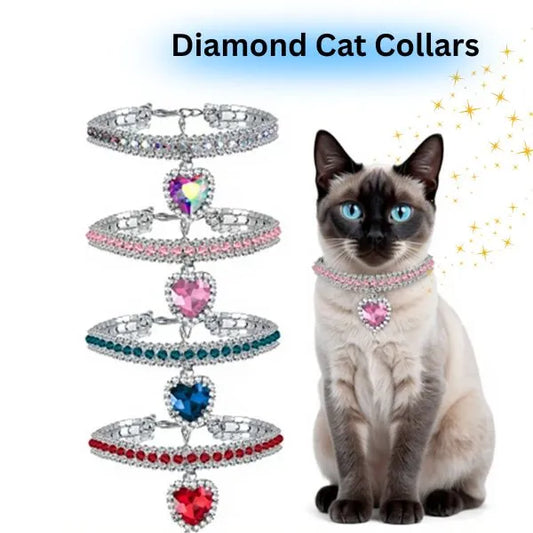 CAT COLLARS