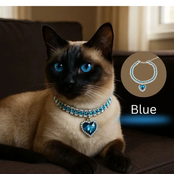 CAT COLLARS 01