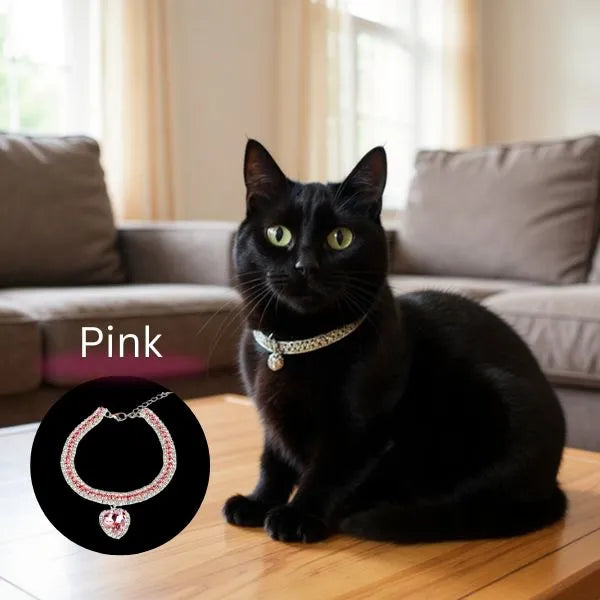 CAT COLLARS 03