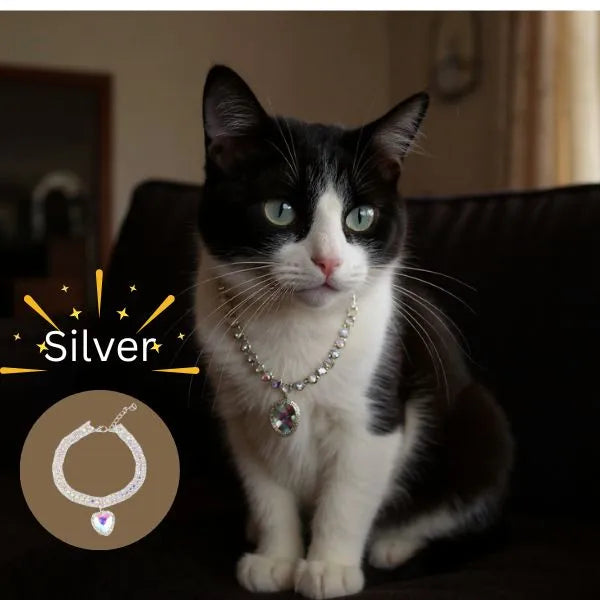 CAT COLLARS 07