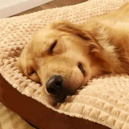 Dog Beds Max Coffee