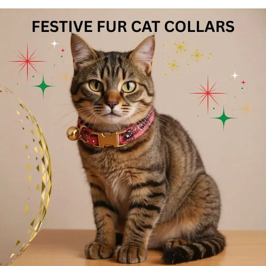 CAT COLLARS 01