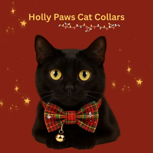 CAT COLLARS