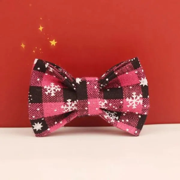 CAT COLLARS 07