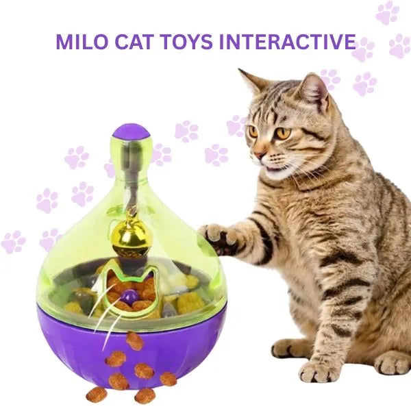 CAT TOYS