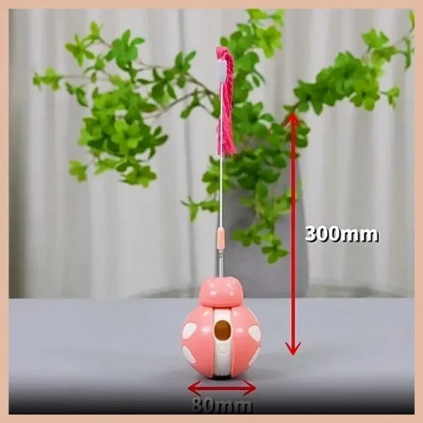 CAT TOYS 01