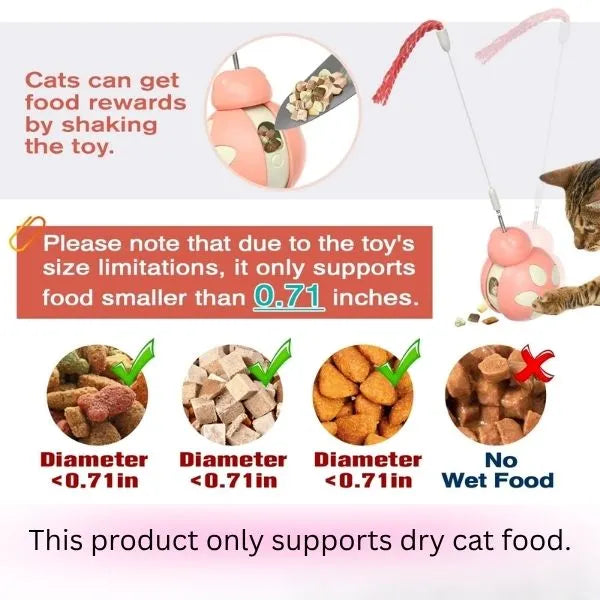 CAT TOYS INTERACTIVE 01